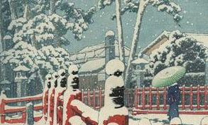 A Garden in A Pocket