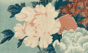 A Garden in A Pocket